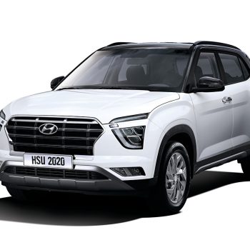 Pet Sitting & Boarding